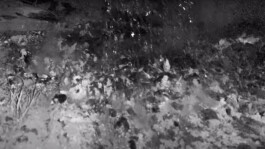 Katia Marielle Labèque