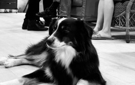  Katia Marielle Labèque