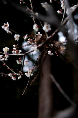  Katia Marielle Labèque