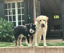 Katia Marielle Labèque