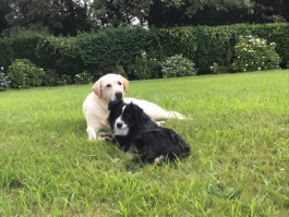 Katia Marielle Labèque